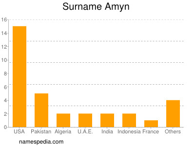 Surname Amyn