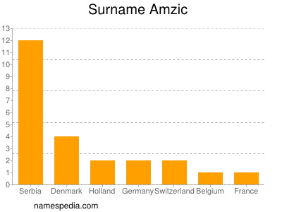 Surname Amzic