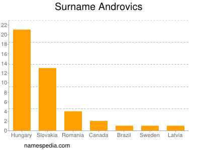 Surname Androvics