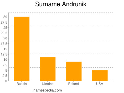 Surname Andrunik