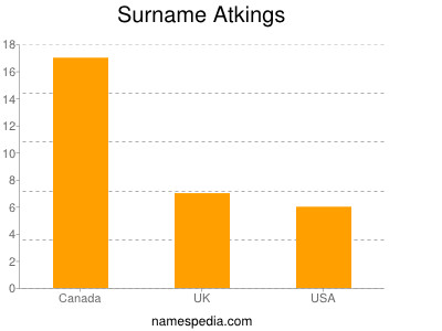Surname Atkings