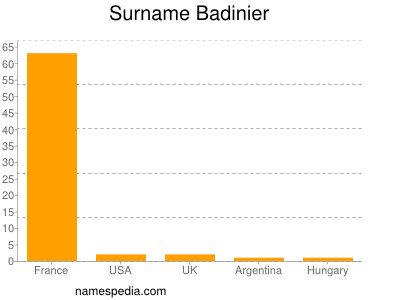 Surname Badinier