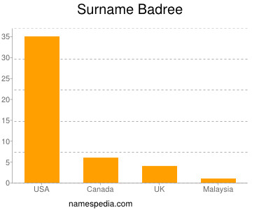 Surname Badree