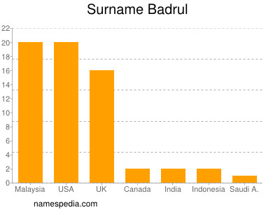 Surname Badrul