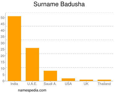 Surname Badusha