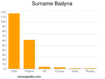 Surname Badyna