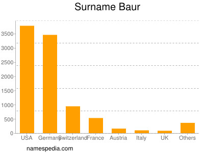 Surname Baur