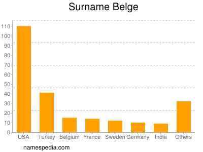 Surname Belge