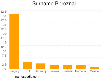 Surname Bereznai