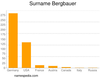 Surname Bergbauer