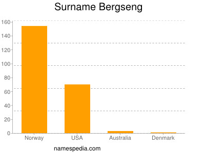 Surname Bergseng