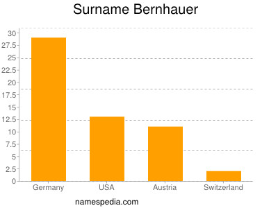 Surname Bernhauer