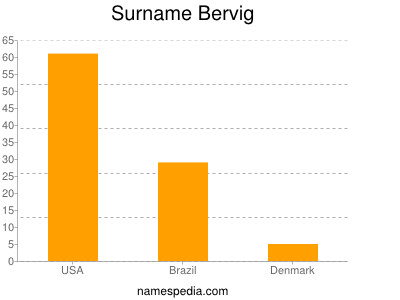 Surname Bervig
