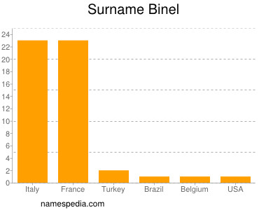 Surname Binel
