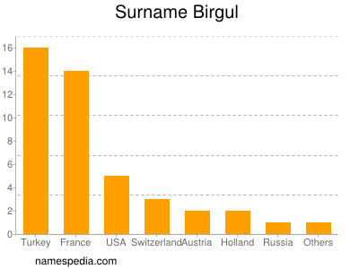 Surname Birgul