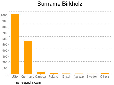 Surname Birkholz