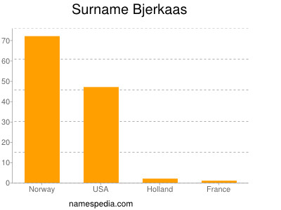 Surname Bjerkaas