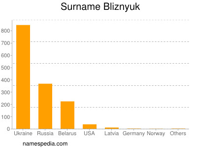 Surname Bliznyuk