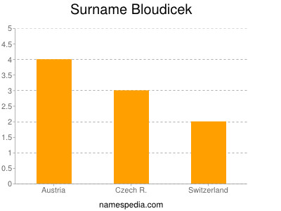 Surname Bloudicek