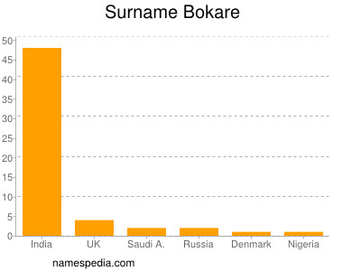 Surname Bokare