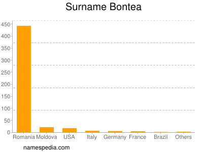 Surname Bontea