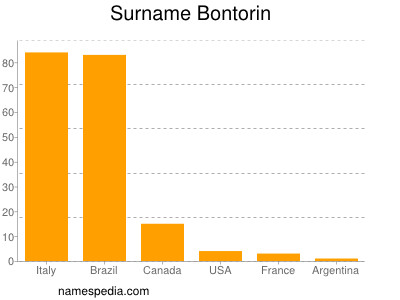 Surname Bontorin