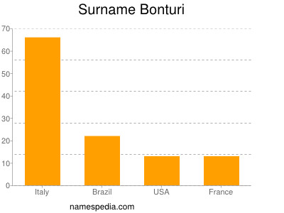 Surname Bonturi