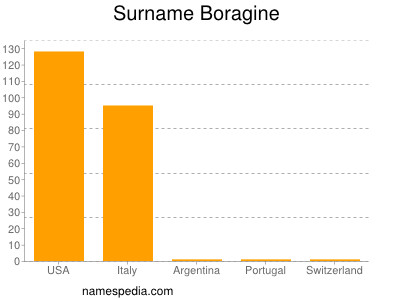 Surname Boragine