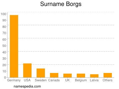 Surname Borgs