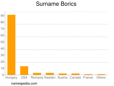 Surname Borics