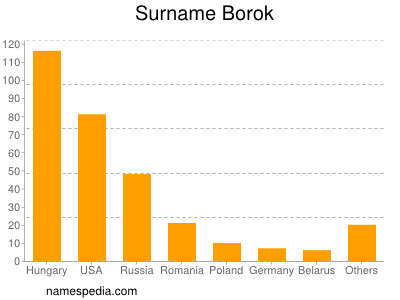 Surname Borok