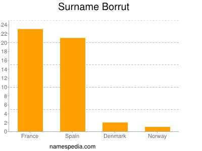 Surname Borrut