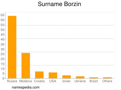 Surname Borzin