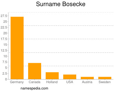 Surname Bosecke