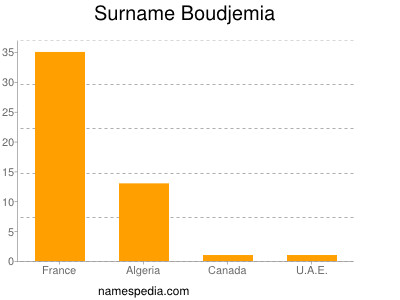 Surname Boudjemia