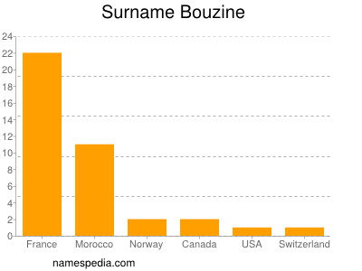 Surname Bouzine