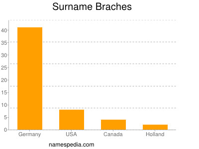 Surname Braches