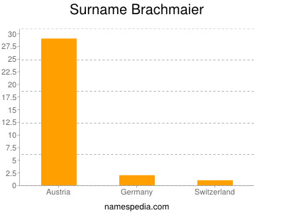 Surname Brachmaier