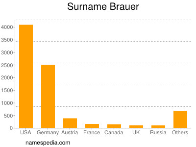 Surname Brauer