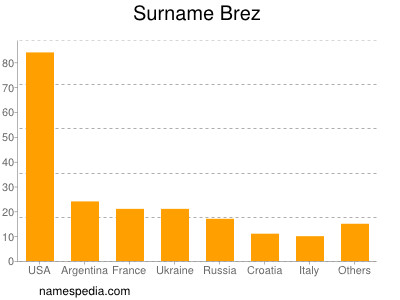 Surname Brez