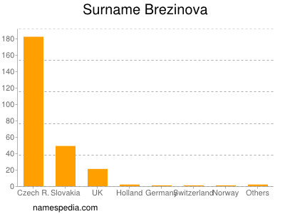 Surname Brezinova
