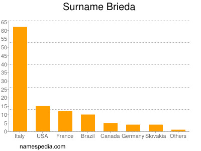 Surname Brieda