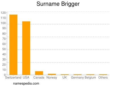 Surname Brigger