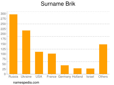 Surname Brik
