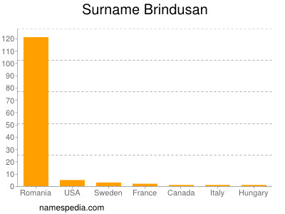 Surname Brindusan