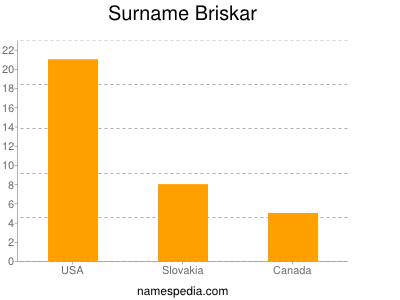 Surname Briskar
