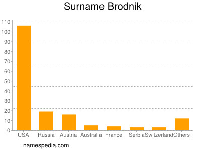 Surname Brodnik