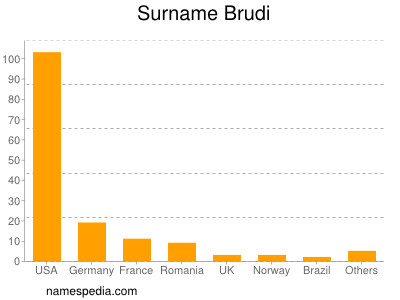 Surname Brudi