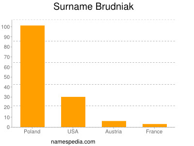 Surname Brudniak