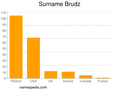 Surname Brudz